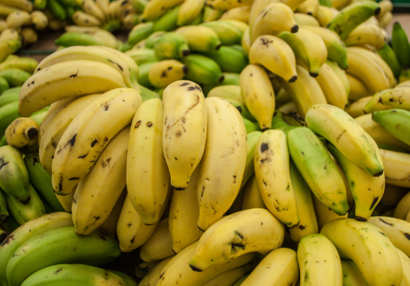 Банан - где растет, в чем их особенность и процесс выращивания + 80 фото