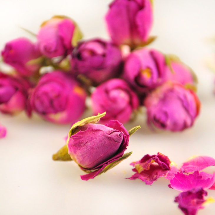 Чайная роза - сорта, высадка, секреты ухода, домашние виды (101 фото + видео)