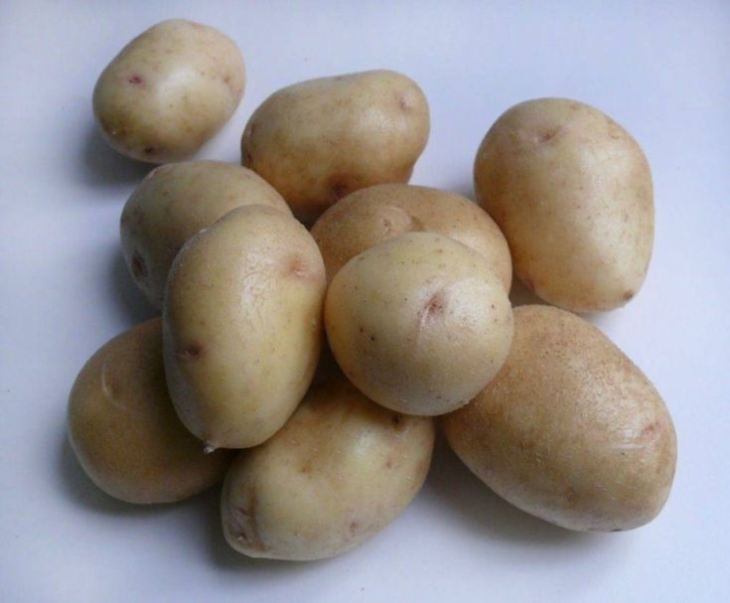 Картофель - 84 фото посадки разных видов самого распространенного клубня