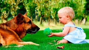 маленькая девочка и собака